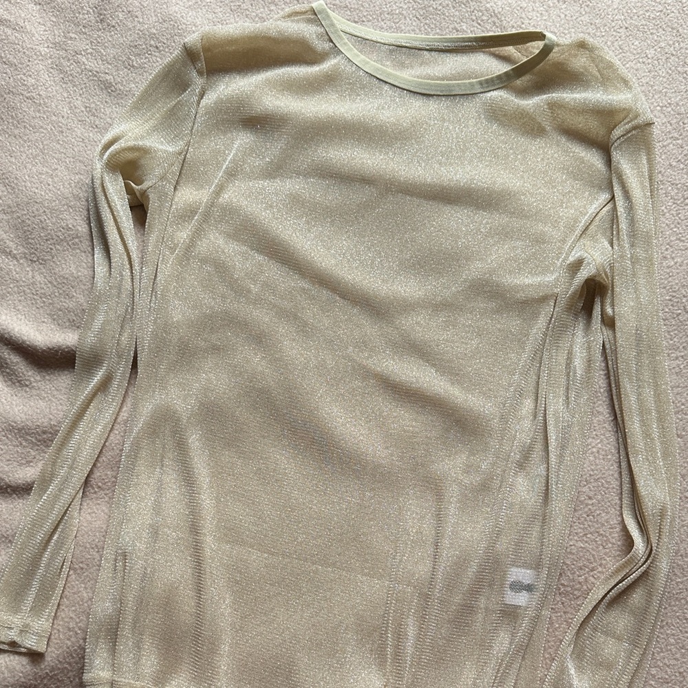 Sheer Shimmer Mesh Long Sleeve Top - Light Gold